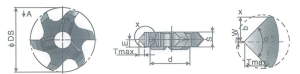 cham2