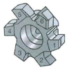 TS1